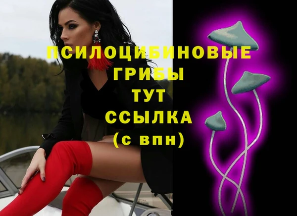 твердый Горняк