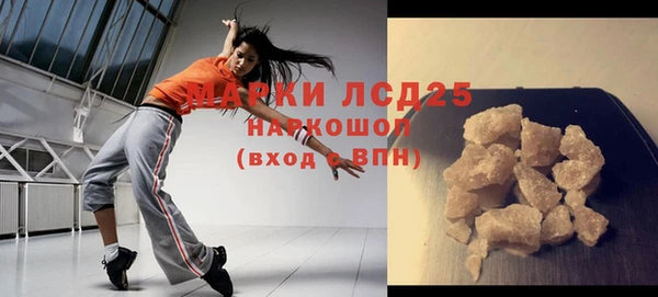ГАЛЛЮЦИНОГЕННЫЕ ГРИБЫ Гусь-Хрустальный