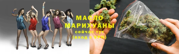 твердый Горняк