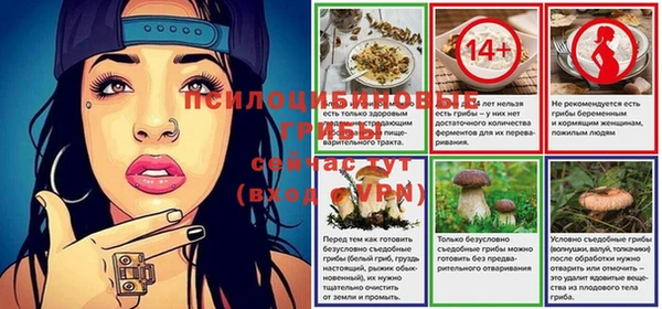 твердый Горняк