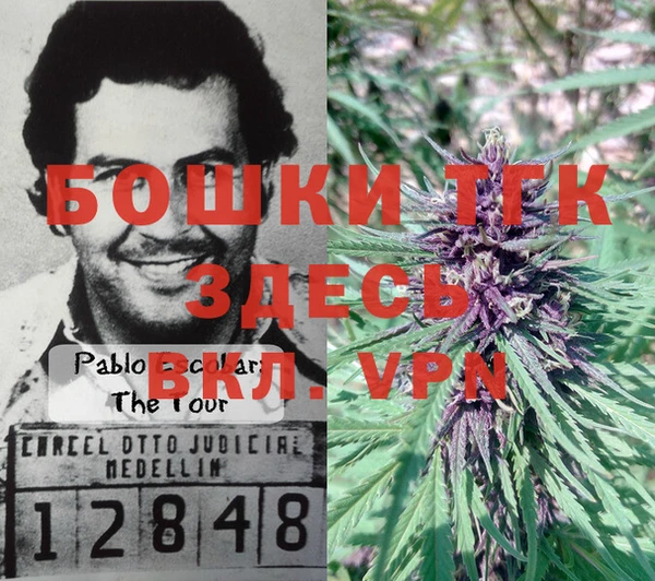 2c-b Гусев