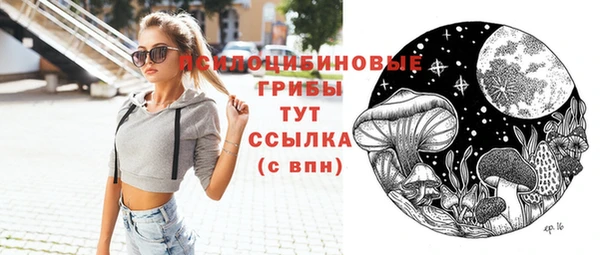 твердый Горняк