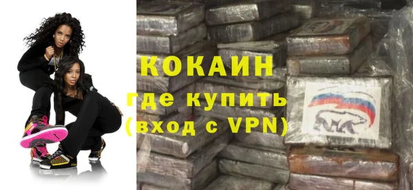 твердый Горняк