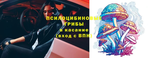 мдпв Володарск